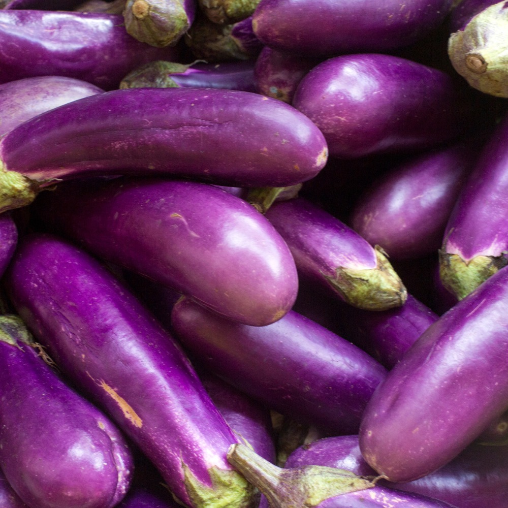 Fresh Brinjal