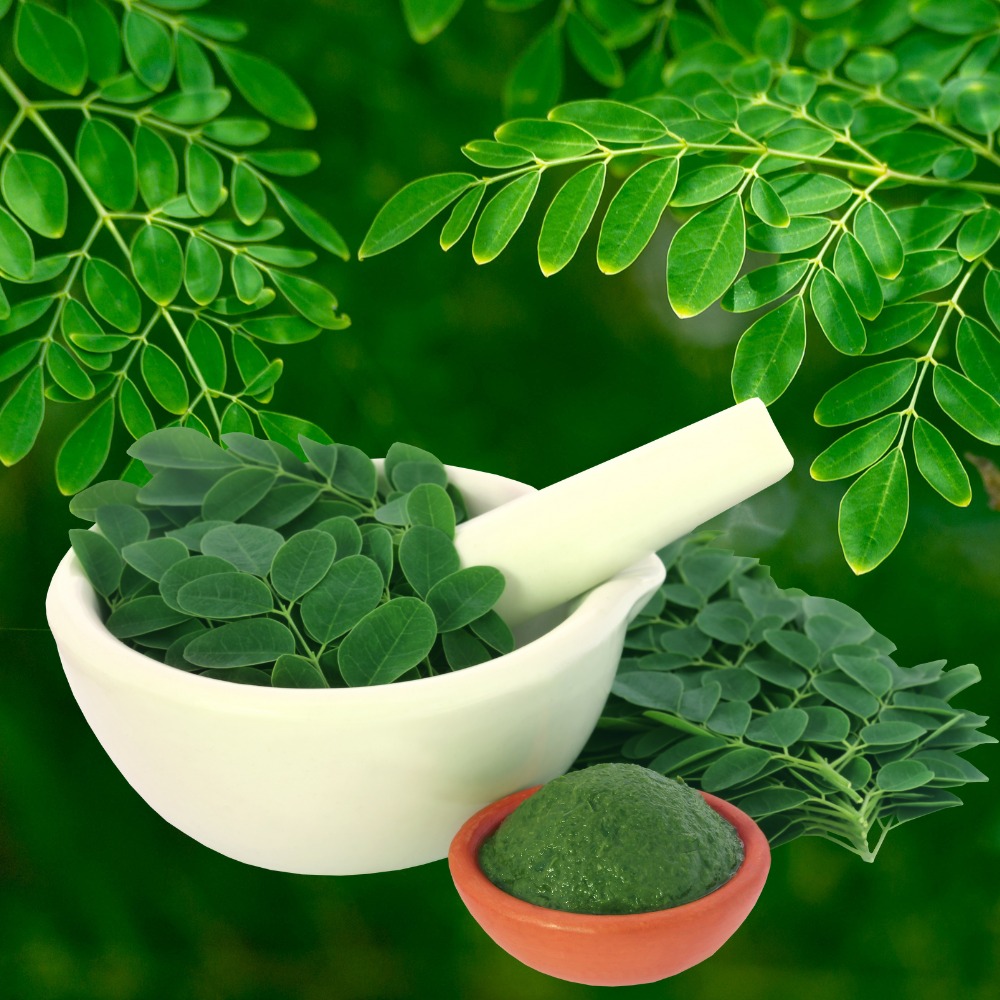 Fresh Moringa Leaves