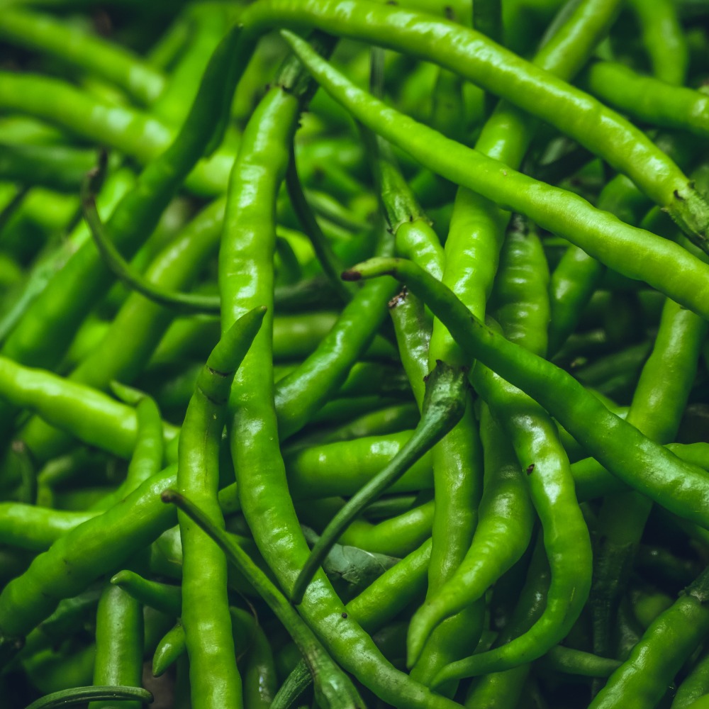 Fresh Green Chili