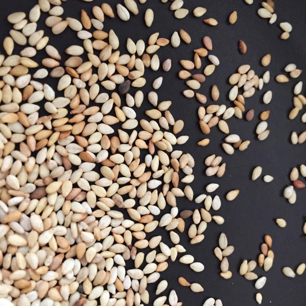 Organic Sesame Seeds